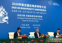 COP15：共建地球生命共同體，全球生物多樣性框架將聚焦4大長(zhǎng)期目標(biāo)